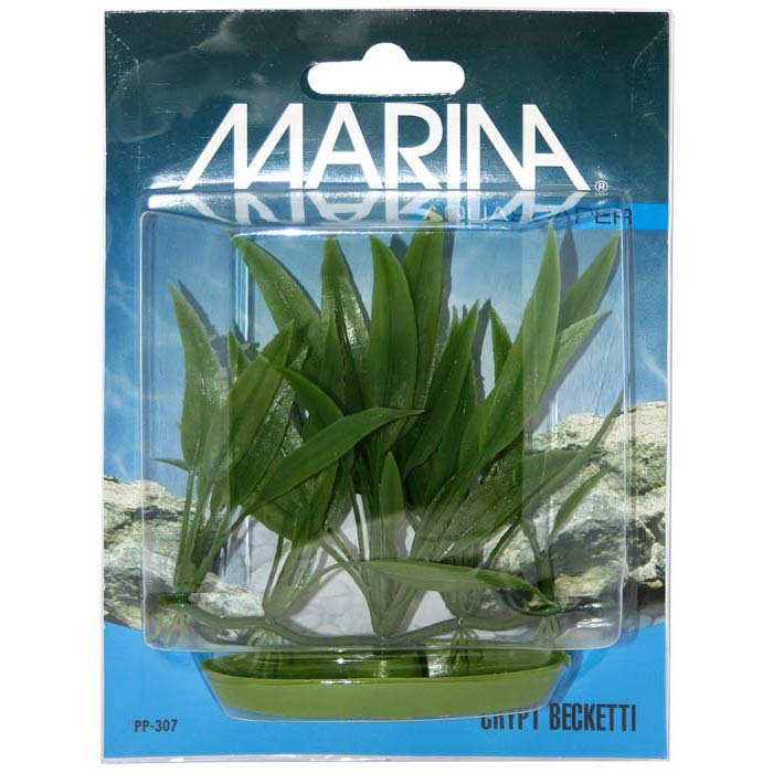 Plastplante crypt becketti
