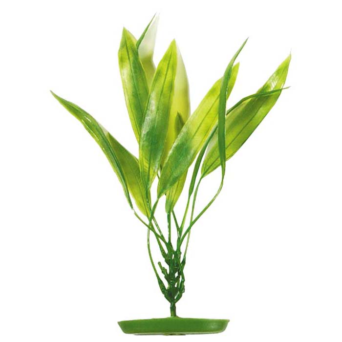 Plastplante Amazon Sverdplante