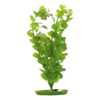 Plastplante Moneywort