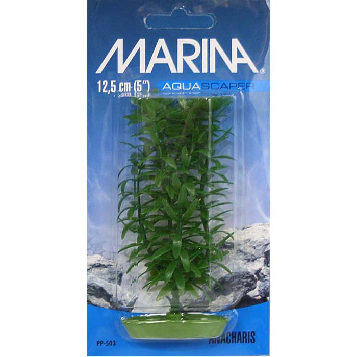 Plastplante Anacharis Plastplante Anacharis