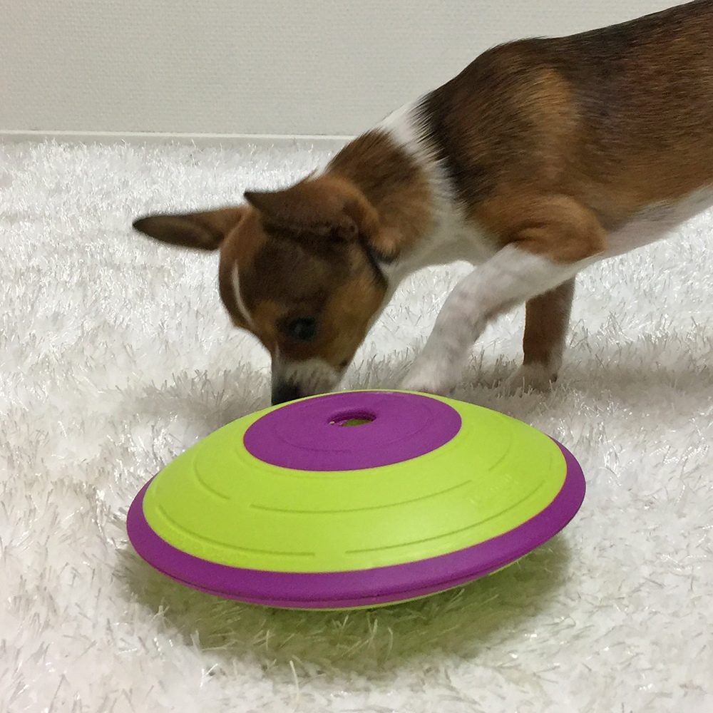 Nina Ottosson Dog Treat Maze Plast Aktivitetsleke