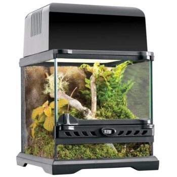 Terrarium Exo Terra nano wide 20x20x20cm