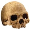 Grotte hodeskalle Exoterra 15x15x15cm, Dødninghode