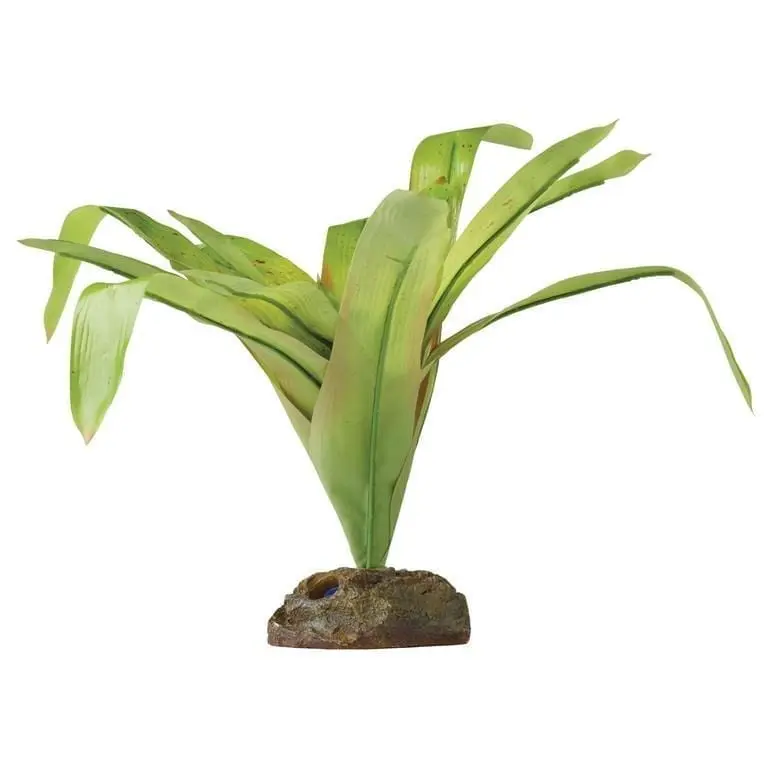 Bromelia Medium Exoterra Bromelia Medium Exoterra