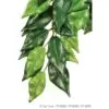 Exo Terra Ficus Hengeplante