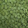 Tropical Algae Wafers Tropical Algae Wafers