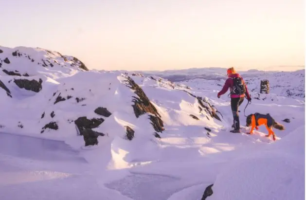 Non-Stop Dogwear Protector Snow - Snødrakt Heldress til hann hund