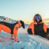 Non-Stop Dogwear Protector Snow - Snødrakt Heldress til hann hund