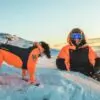 Non-Stop Dogwear Protector Snow - Snødrakt Heldress til hann hund Non-Stop Dogwear Protector Snow - Snødrakt Heldress til hann hund