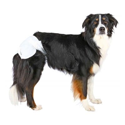 Trixie hundebleie 12pk