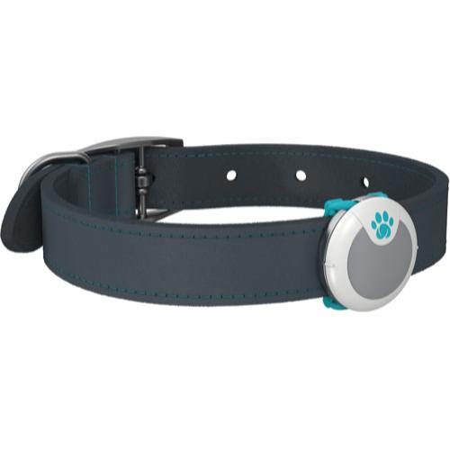 Animo Activity and Behaviour Monitor - Sure Petcare Aktivitetsmåler Animo Activity and Behaviour Monitor - Sure Petcare Aktivitetsmåler
