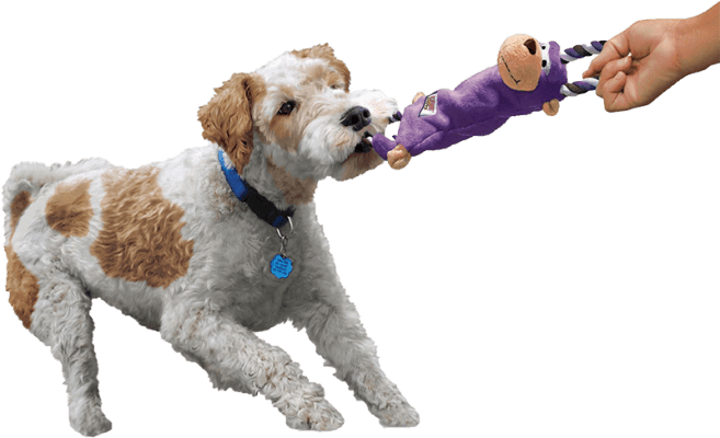 Kong Tugger Knots Elg Draleke M/Large 47cm