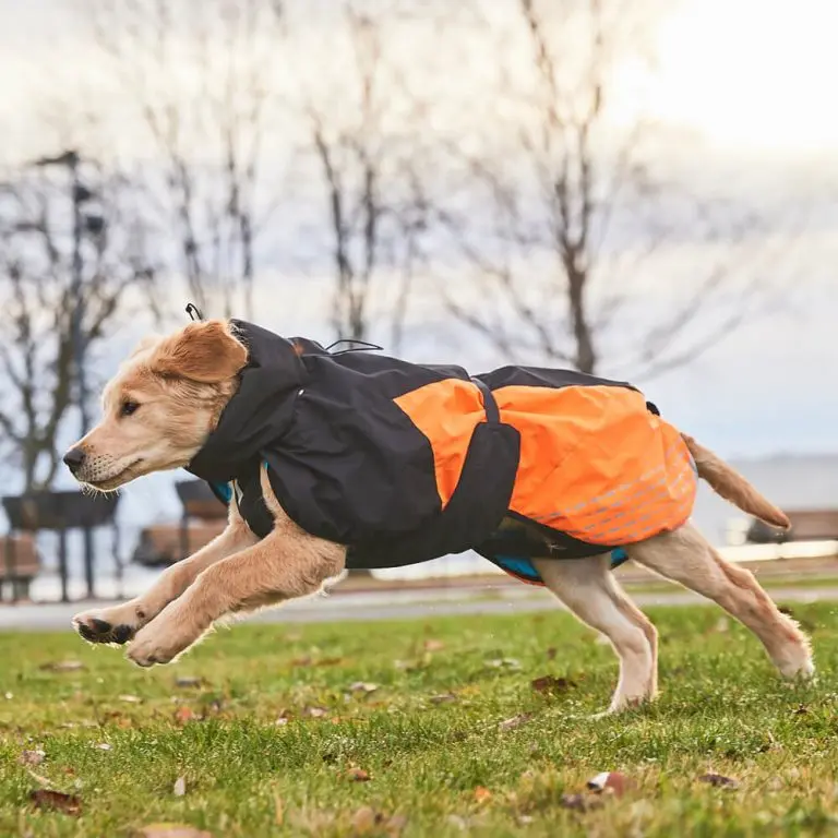 Non-Stop Dogwear Glacier Jacket 2.0 Vinter Varmedekken til hund Non-Stop Dogwear Glacier Jacket 2.0 Vinter Varmedekken til hund