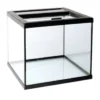 Helglass terrarier, toppbetjent Helglass terrarier, toppbetjent