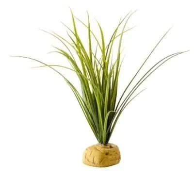 Exo Terra Turtle Grass Exo Terra Turtle Grass