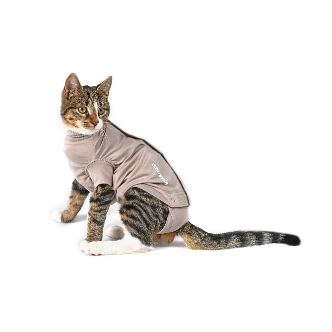 BUSTER Body Suit Step'n Go til katt BUSTER Body Suit Step'n Go til katt