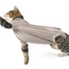 BUSTER Body Suit Step'n Go til katt BUSTER Body Suit Step'n Go til katt