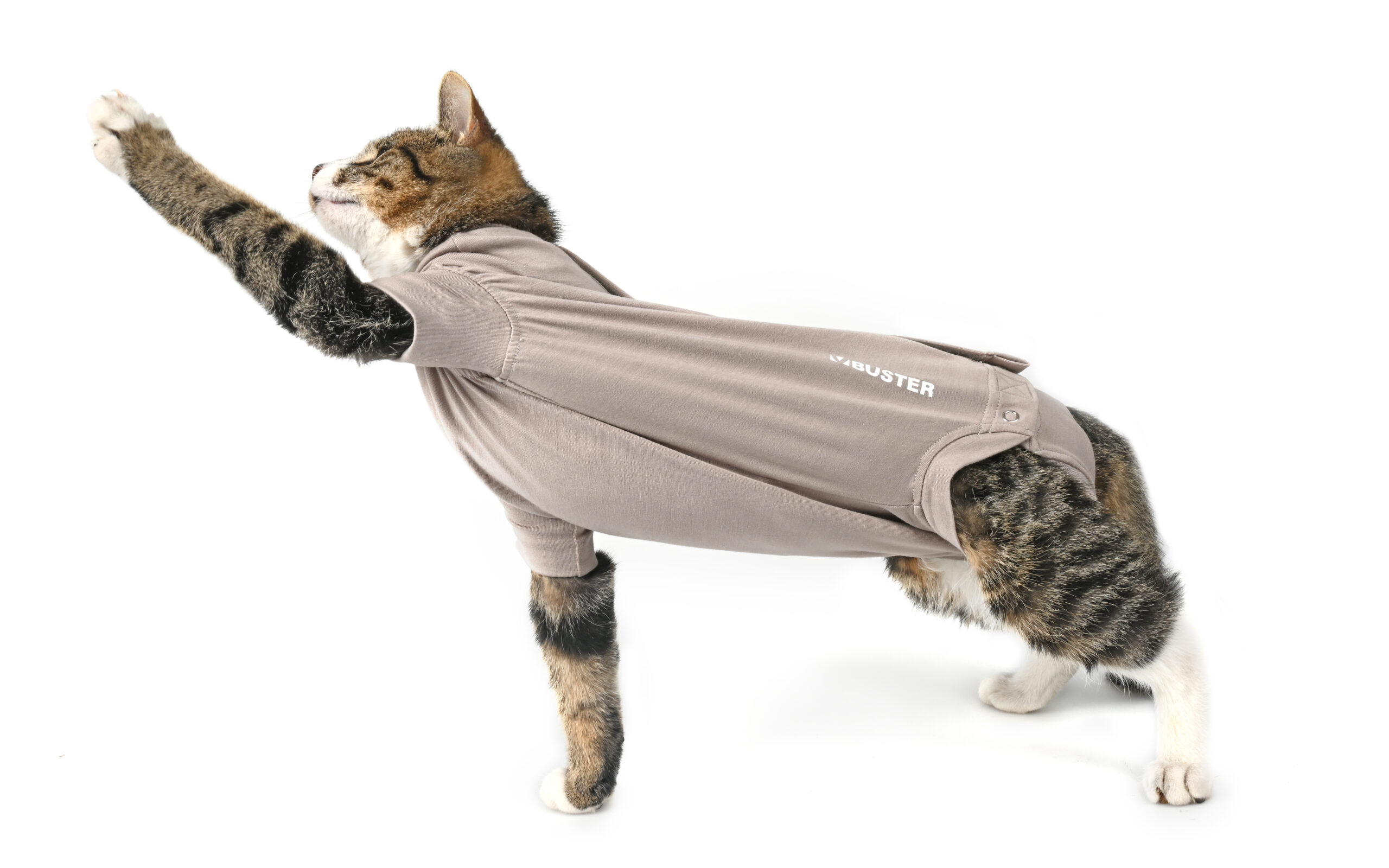 BUSTER Body Suit Step'n Go til katt BUSTER Body Suit Step'n Go til katt