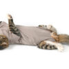 BUSTER Body Suit Step'n Go til katt BUSTER Body Suit Step'n Go til katt