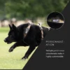Non-Stop Dogwear Line Harness Long WD Lang Hundesele Non-Stop Dogwear Line Harness Long WD Lang Hundesele