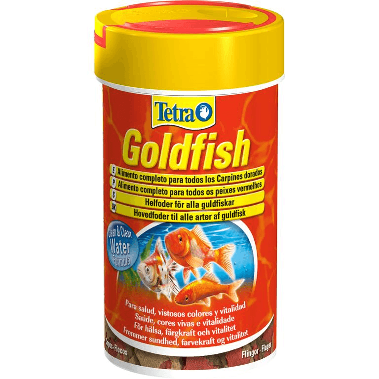 Tetra Goldfish Tetra Goldfish