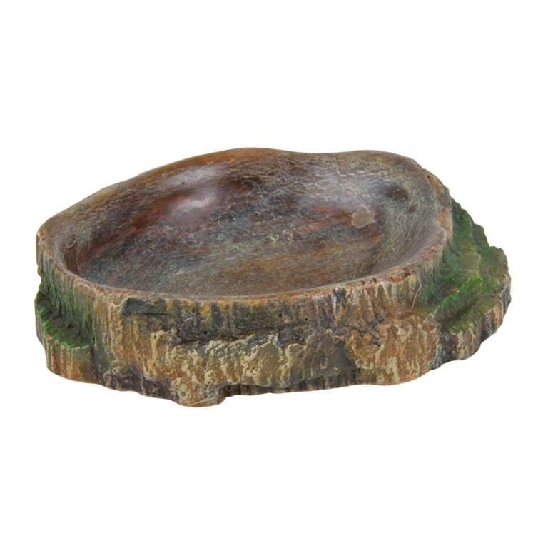 Reptilskål Regnskog Reptilskål Regnskog