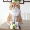Petstages Lil-Avocato Dental Health Cat Chew leke Petstages Lil-Avocato Dental Health Cat Chew leke