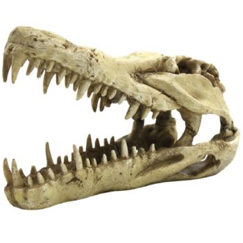 4FISH Kranium 22x10.3x13 cm