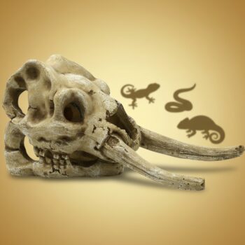 4FISH Kranium 23.5x12x11.8 cm