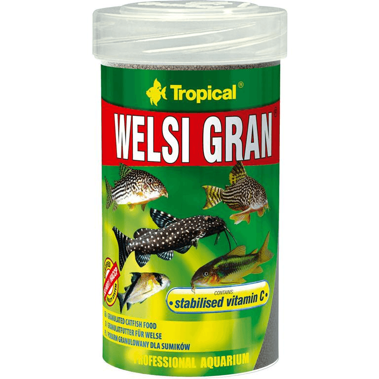 Tropical Welsi Gran