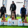 Gamedog Aktiv 15kg Gamedog Aktiv 15kg
