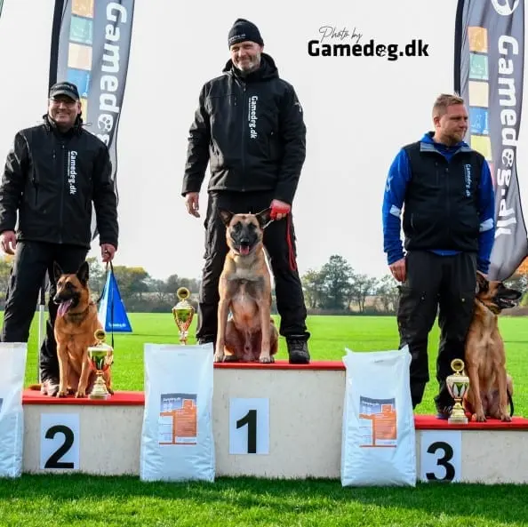 Gamedog Aktiv 15kg Gamedog Aktiv 15kg