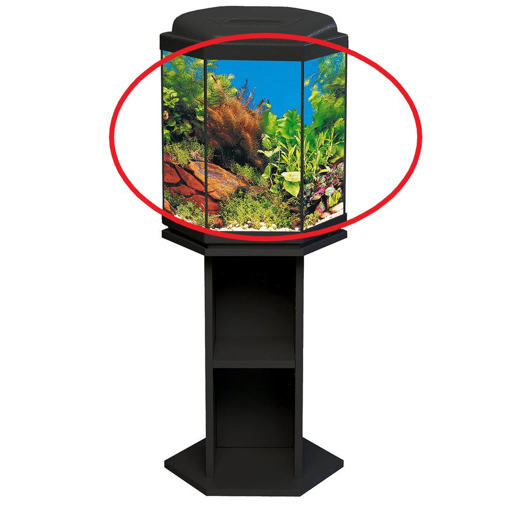 6 kantet glassakvarium lav modell