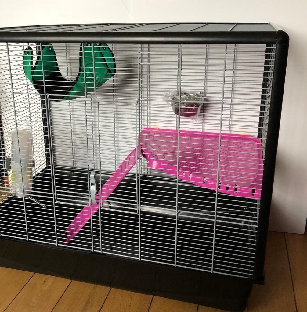 Zeno 2 sammenleggbart rottebur