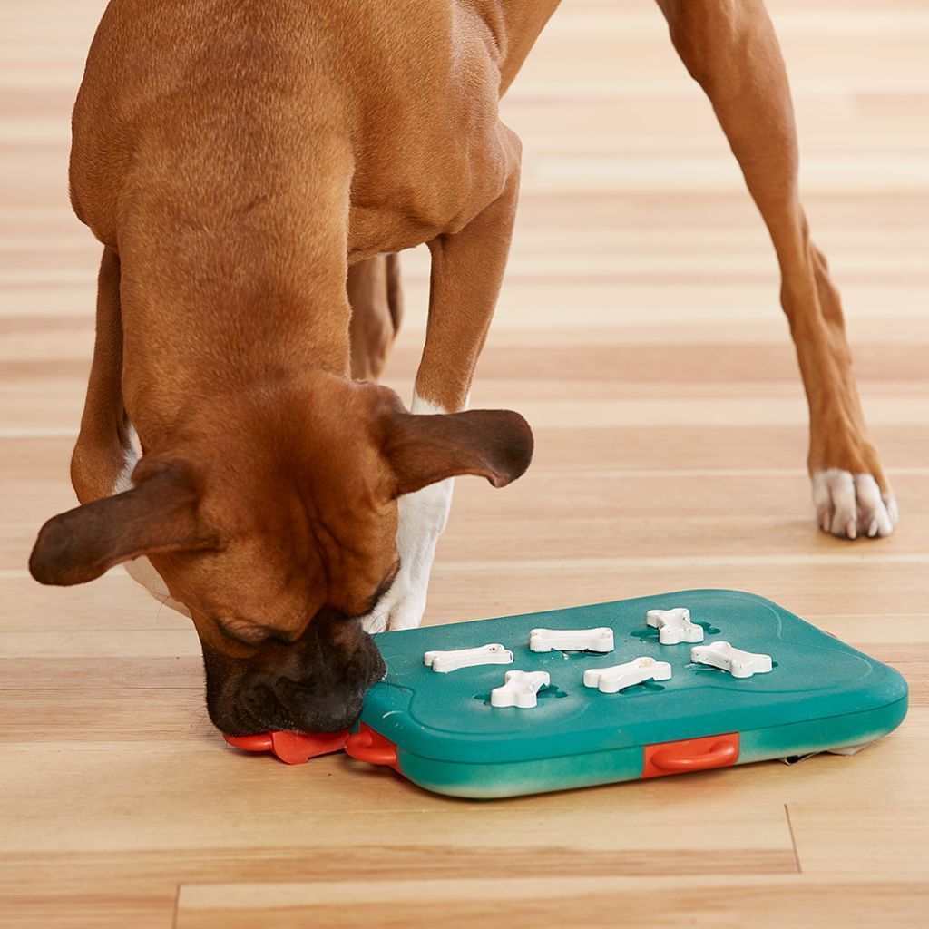 Nina Ottosson Dog Smart Plast Aktivitetsleke