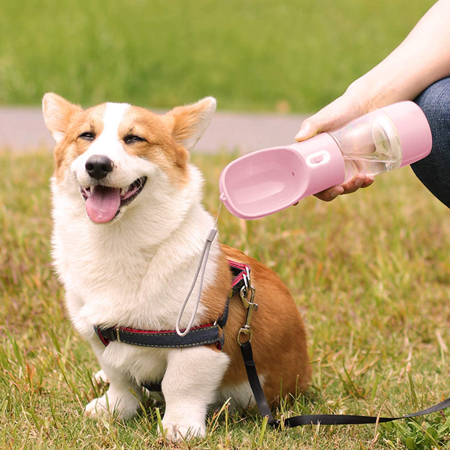 Vannflaske Reiseflaske til Hund & Katt