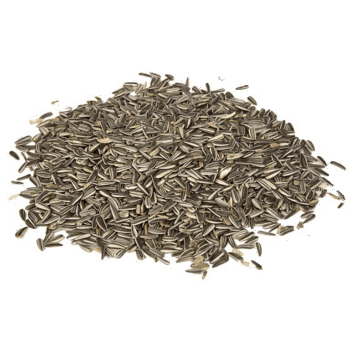 Solsikkefrø med skall