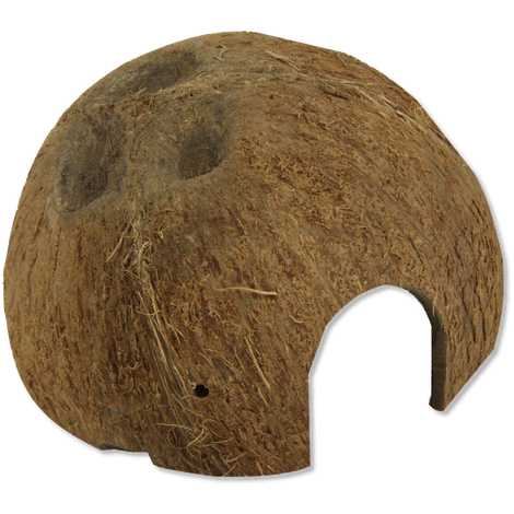 JBL Kokoshule-Cocos Cava