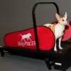 DogPACER MINI tredemølle DogPACER MINI tredemølle