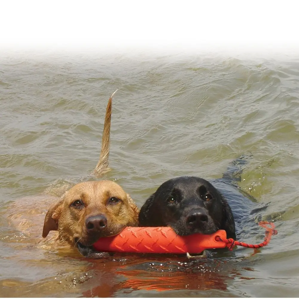 KONG Training Dummy Aktivitetsleke