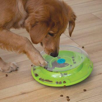 Nina Ottosson Wobble Bowl Aktivitetsleke Slow Feeder