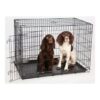 Stålbur hund sammenleggbart