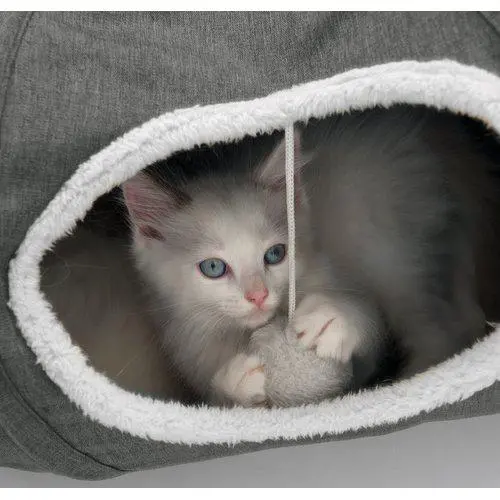 Kattetunell Catit vesper
