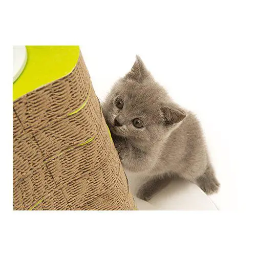 Catit senses 2.0 scratcher Catit senses 2.0 scratcher