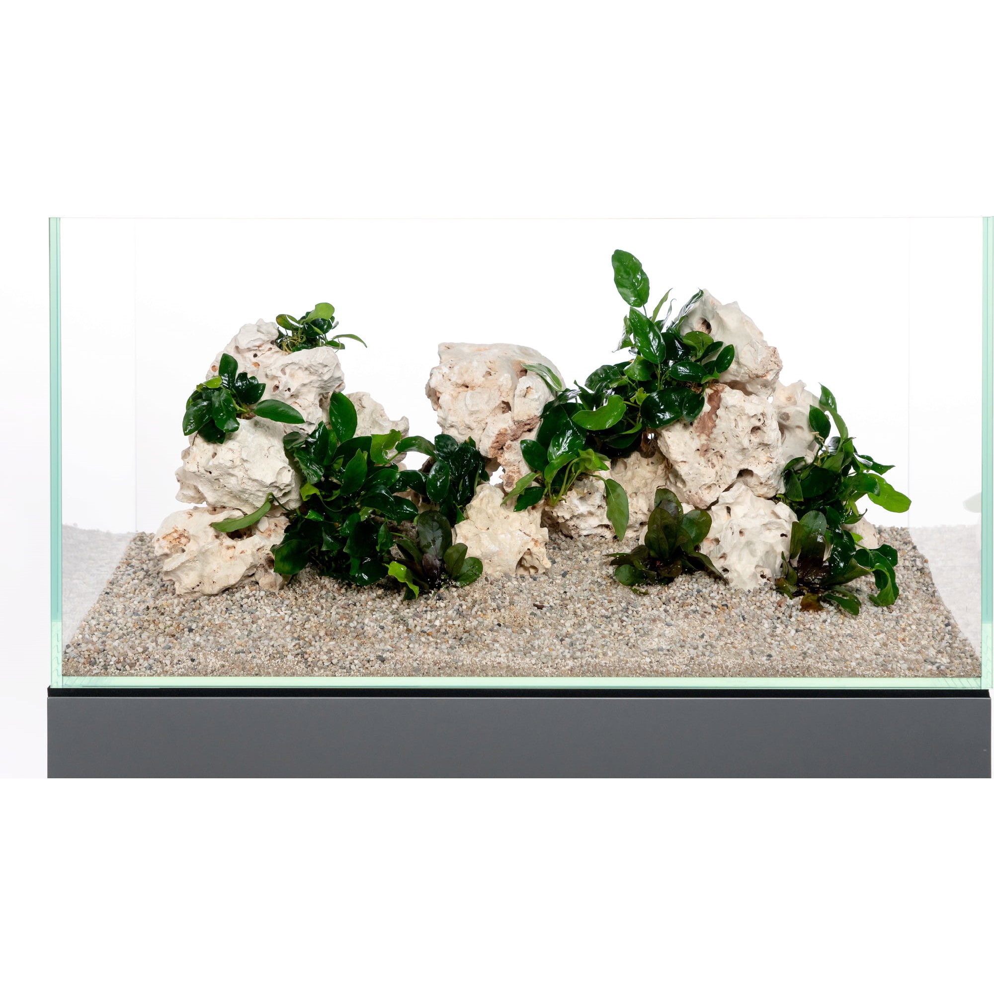 Aquadeco Deko-Sett Multi-Lochgestein