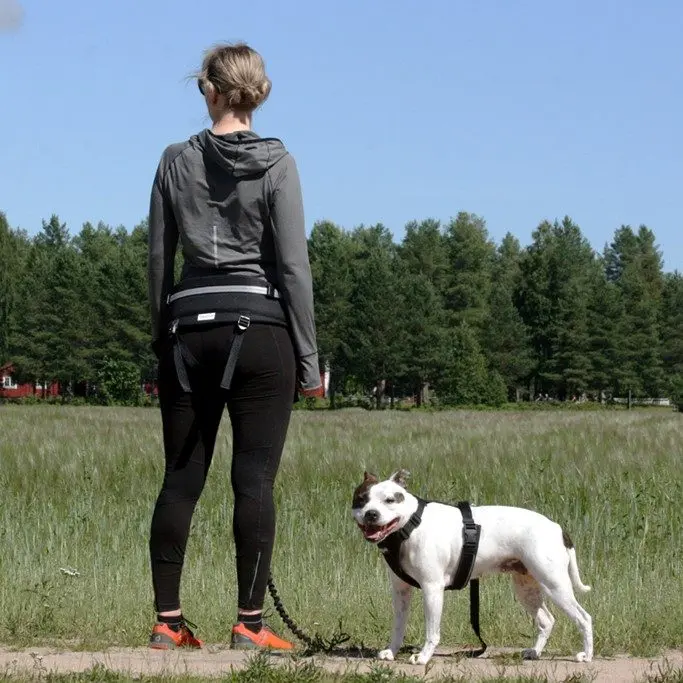 Baggen Softbelt Race X2 grå