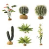 Ballkaktus Ørkenplante Exoterra Ballkaktus Ørkenplante Exoterra