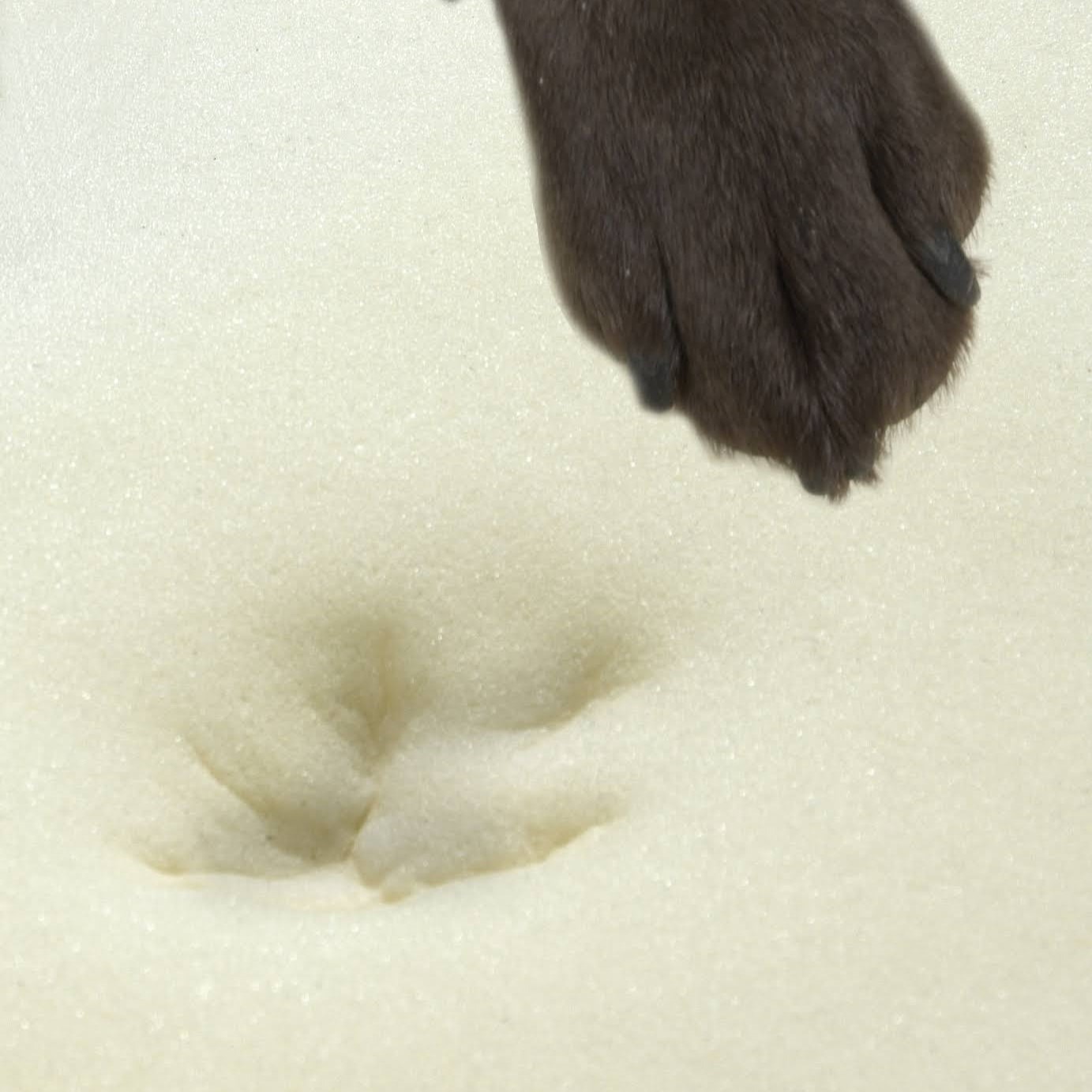 Buster-Kruuse Memory Foam Hundeseng Madrass