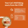 CORE 98 kalkun katt 12 x 85g CORE 98 kalkun katt 12 x 85g