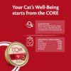CORE 98 oksekjøtt katt 12 x 85g CORE 98 oksekjøtt katt 12 x 85g